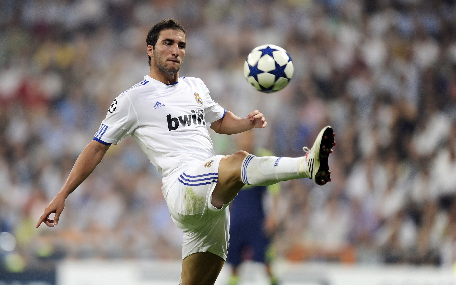 “金牛区城北体育馆：运动舞蹈赛场精彩连连，舞者们挑战节奏与力量极限”